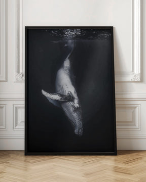 Black Whale Poster