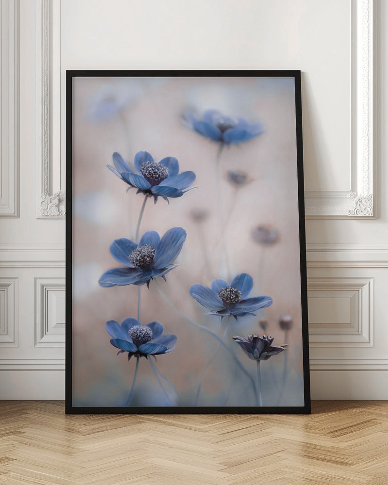 Cosmos blue Poster