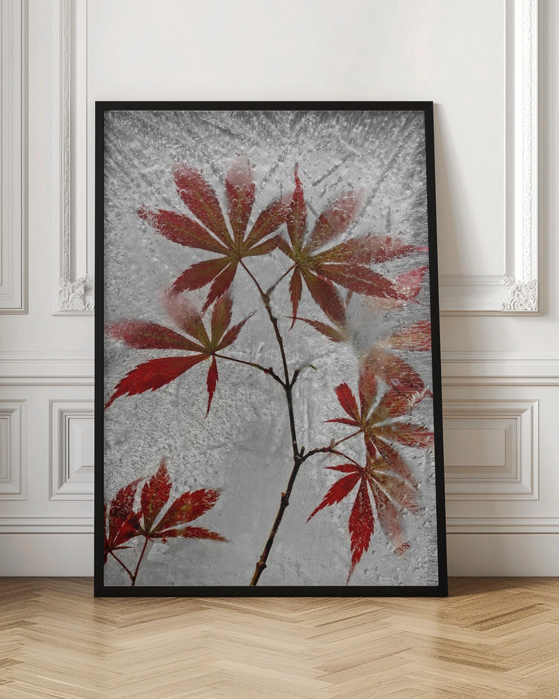 red maple Poster