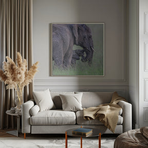 Elephant Family Poster