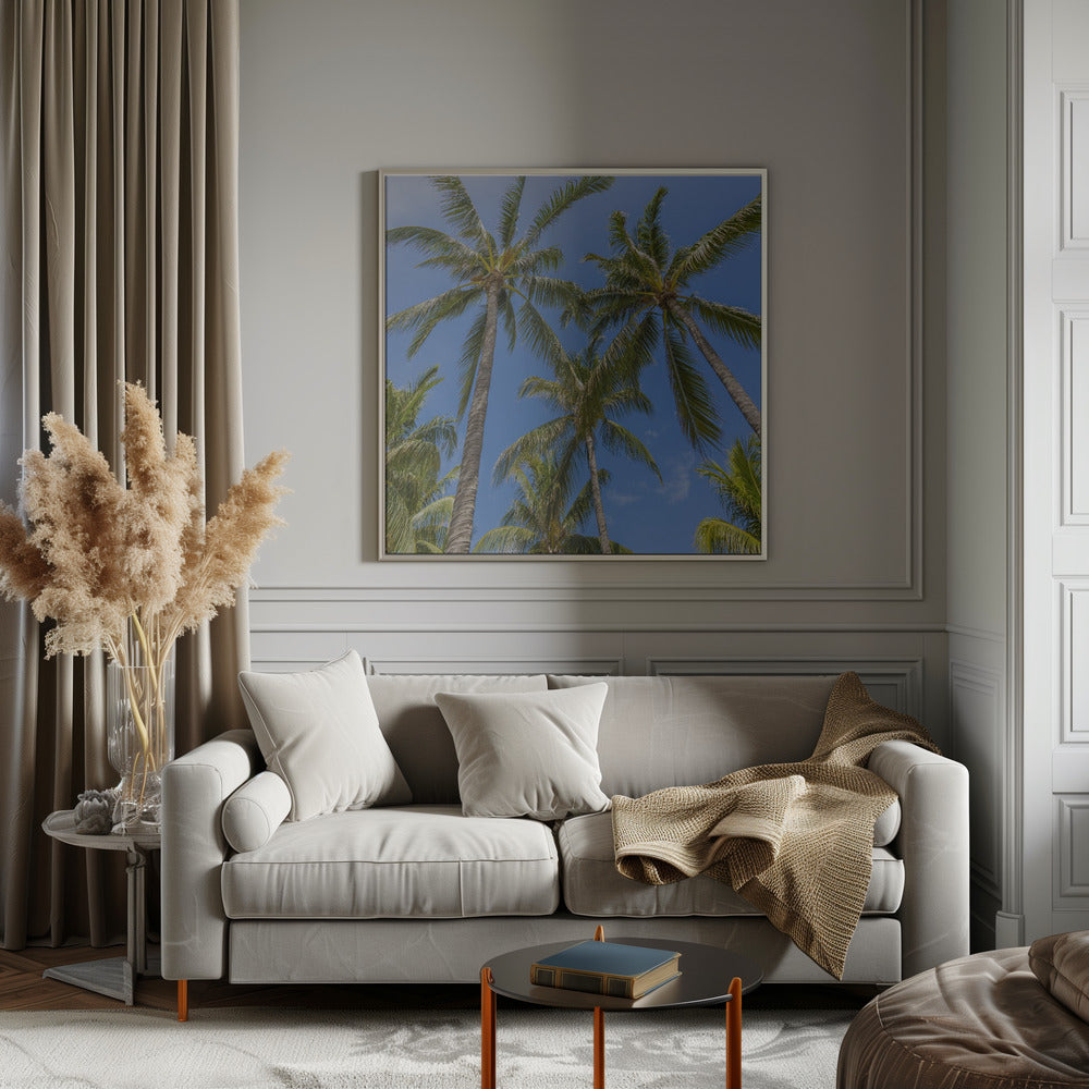 Lovely Palm Trees Poster