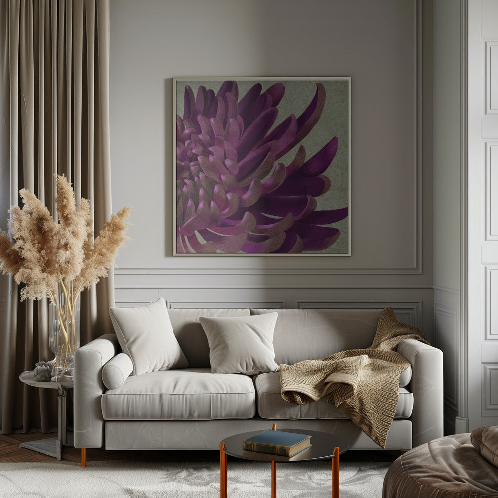 Chrysanthemum Purple Poster