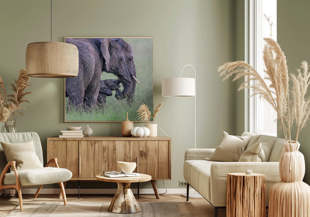 Elephant Family Poster