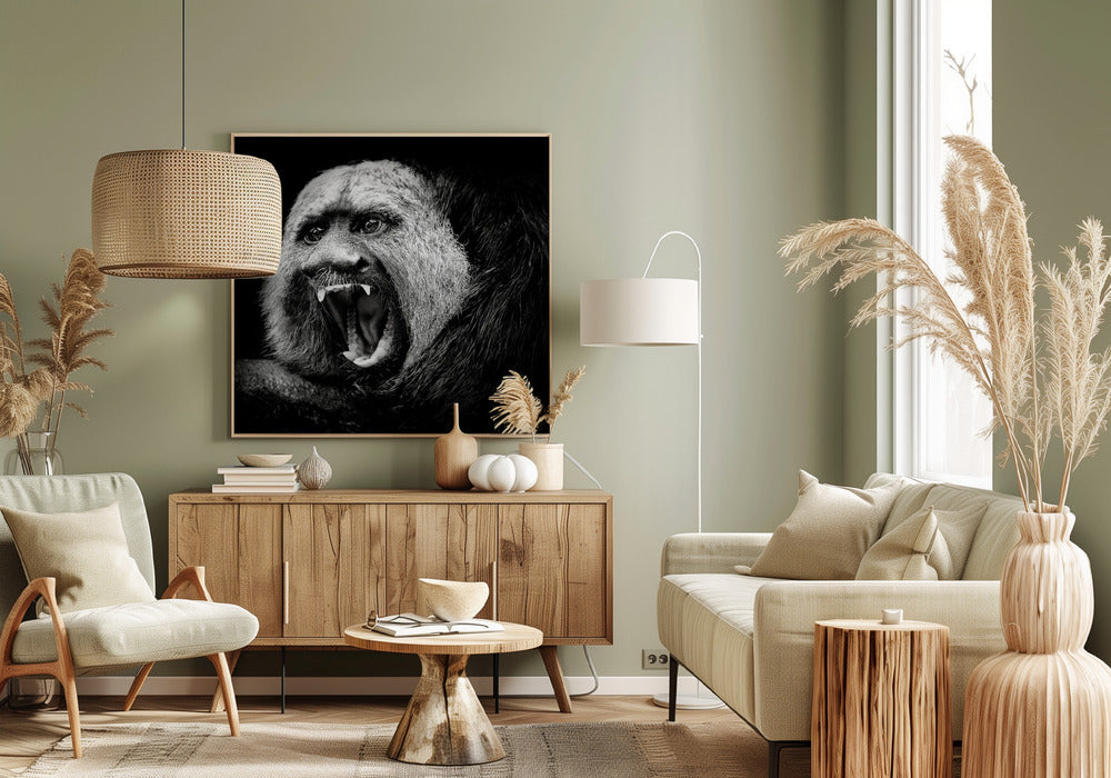 White-Faced Saki #2 Poster