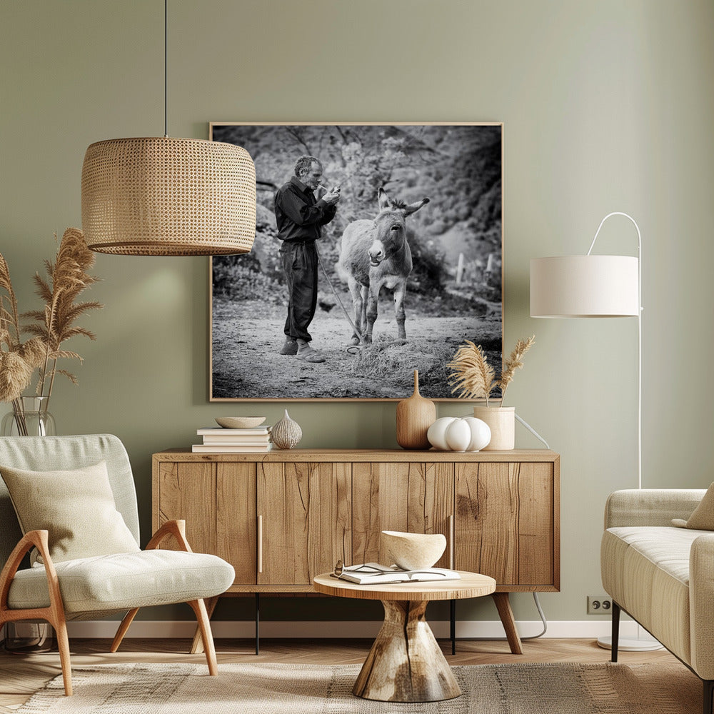 Vova and his donkey Poster