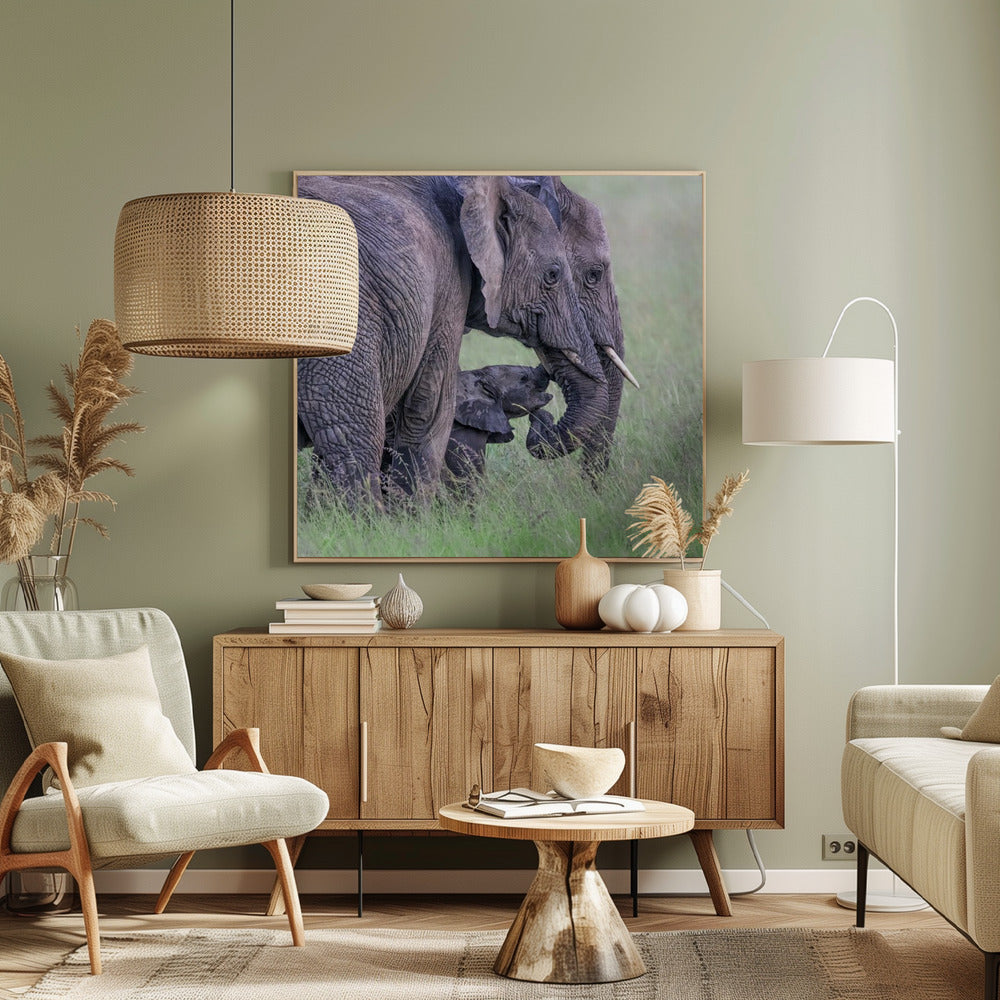 Elephant Family Poster