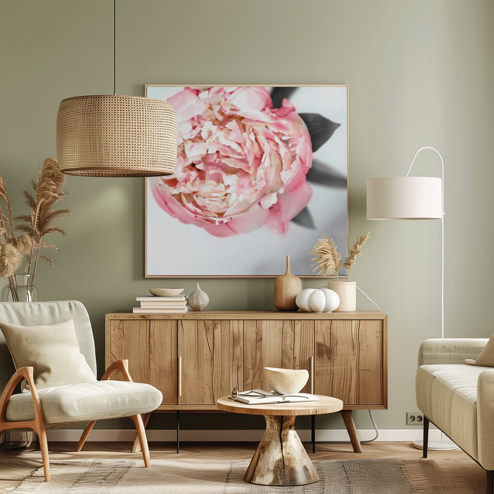 Blush peony III Poster