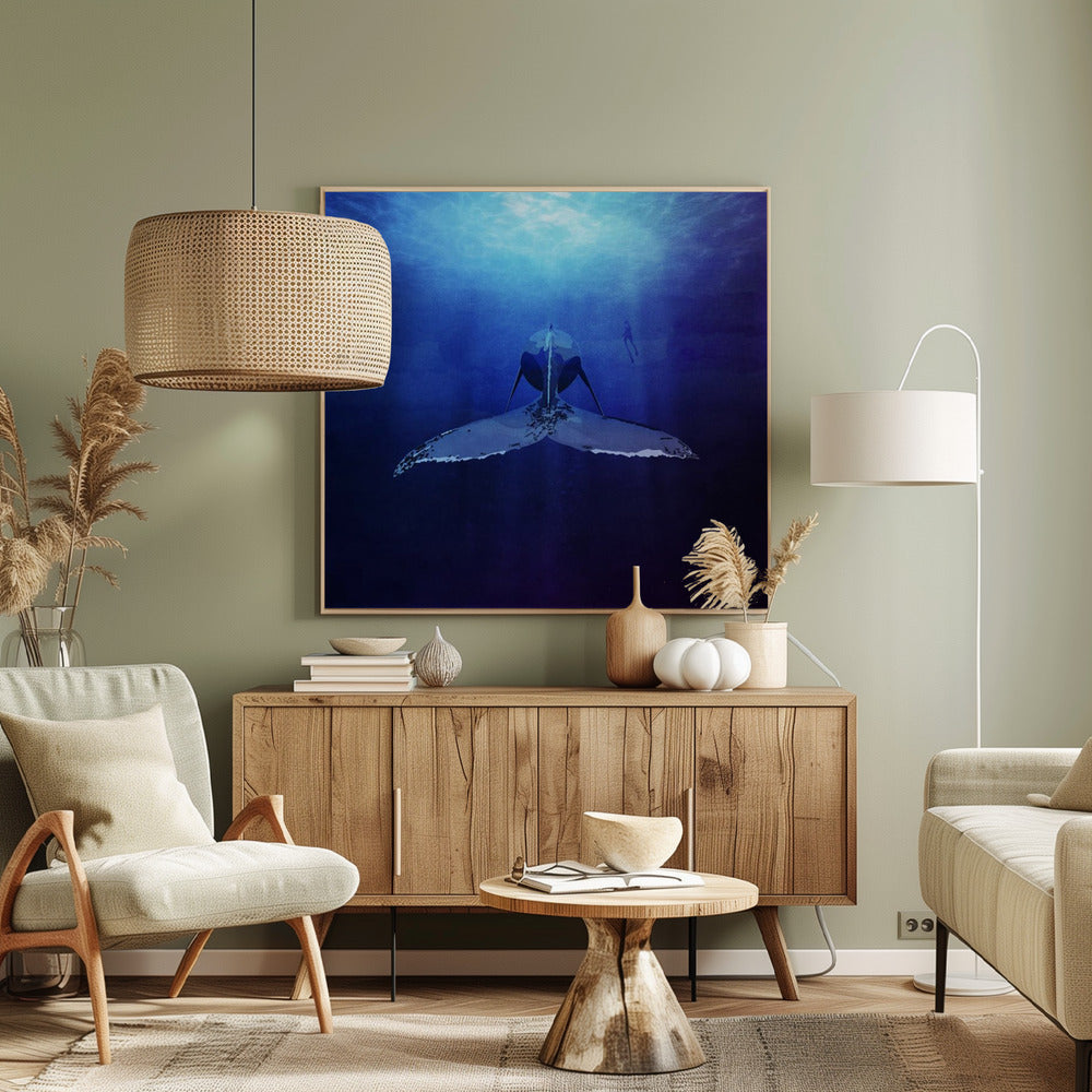 Whale Poster