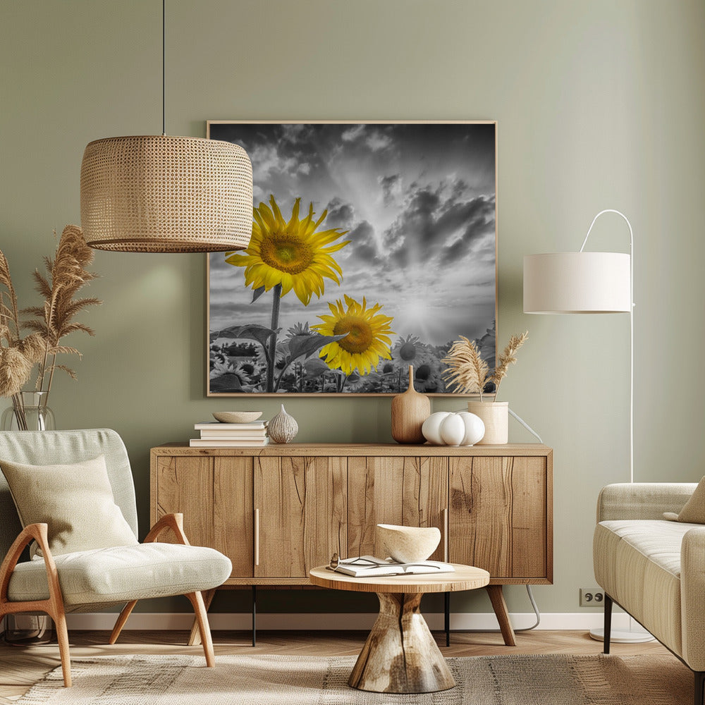 Focus on two sunflowers Poster