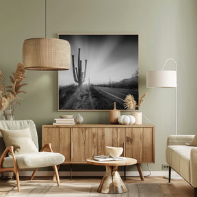 SAGUARO NATIONAL PARK Setting Sun | Monochrome Poster