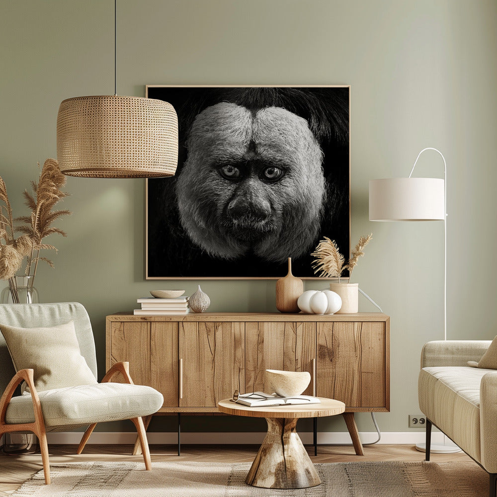 White-Faced Saki Poster