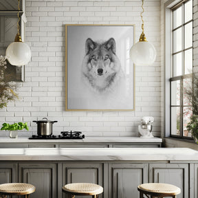 Portrait of a Timber Wolf Poster