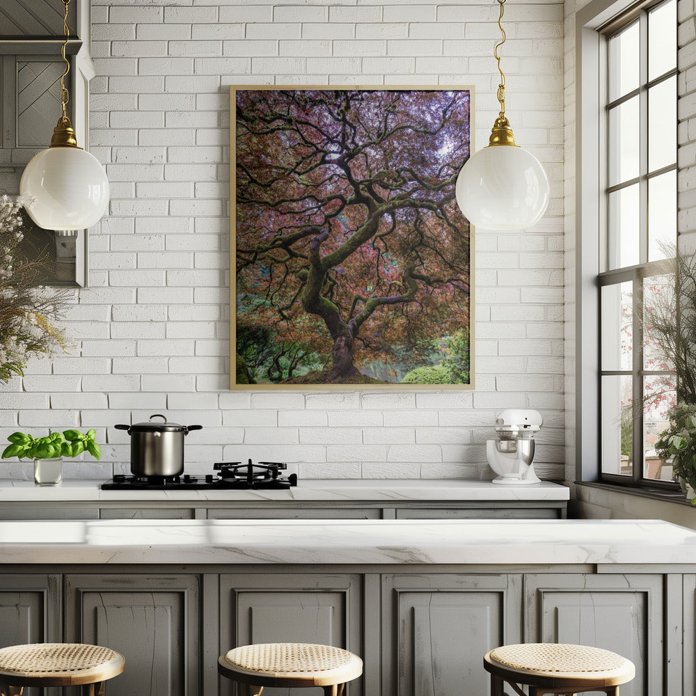 Japanese Maple Tree Poster