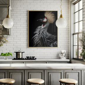 Crowned crane's portrait Poster