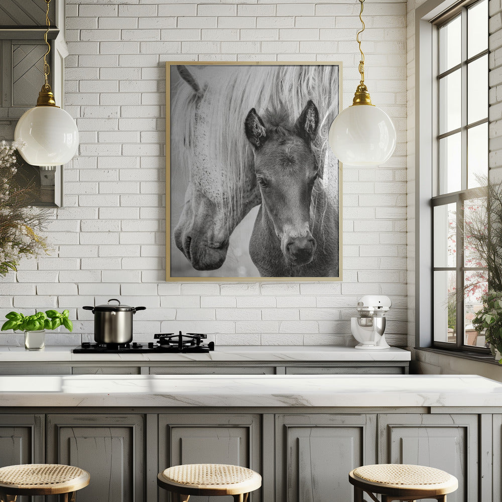 The Foal Poster