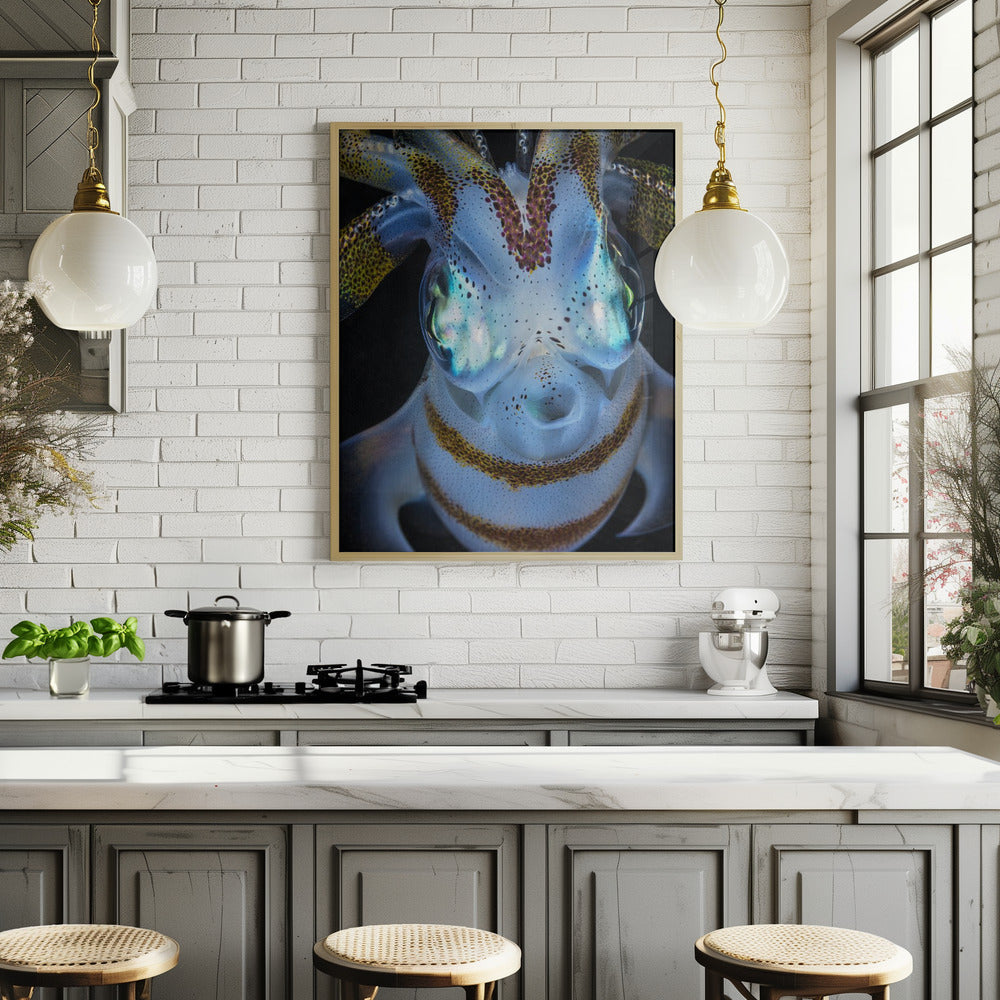 Squid close up Poster