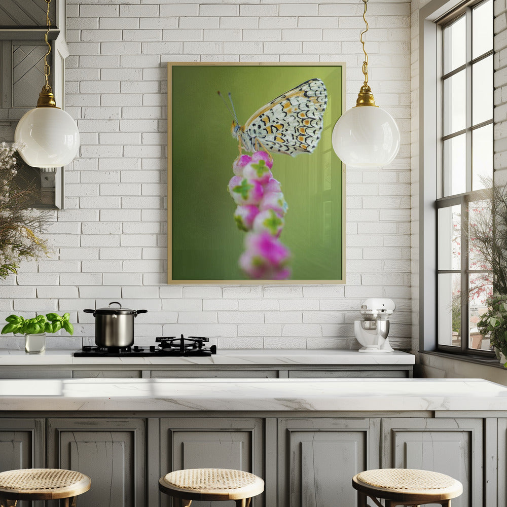 Butterfly at the tip Poster