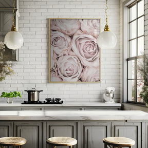 Pink Roses No 01 Poster