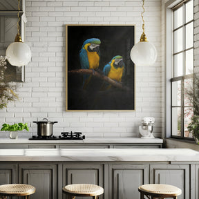 Macaw Parrots Poster