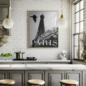 Paris Dove Poster