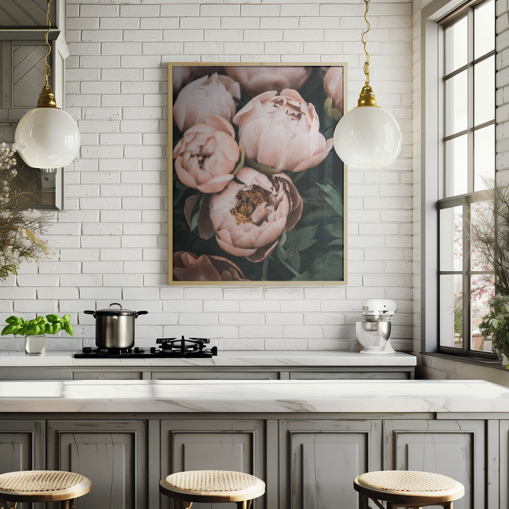 Coral Peonies Poster