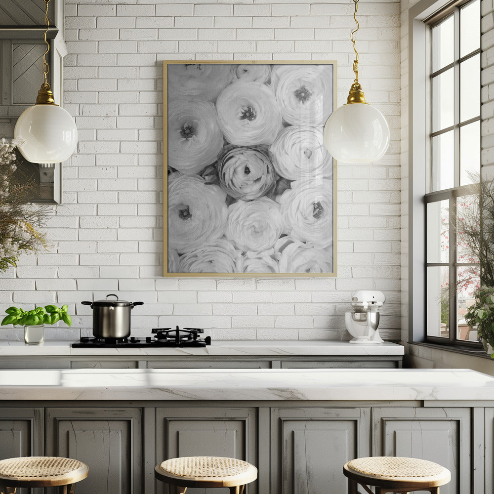 Singular ranunculus gray Poster