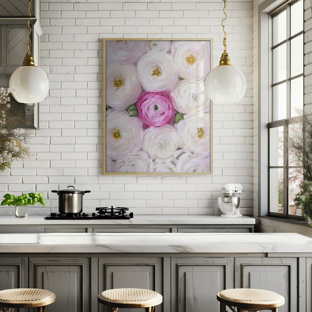 Singular ranunculus in hot pink Poster