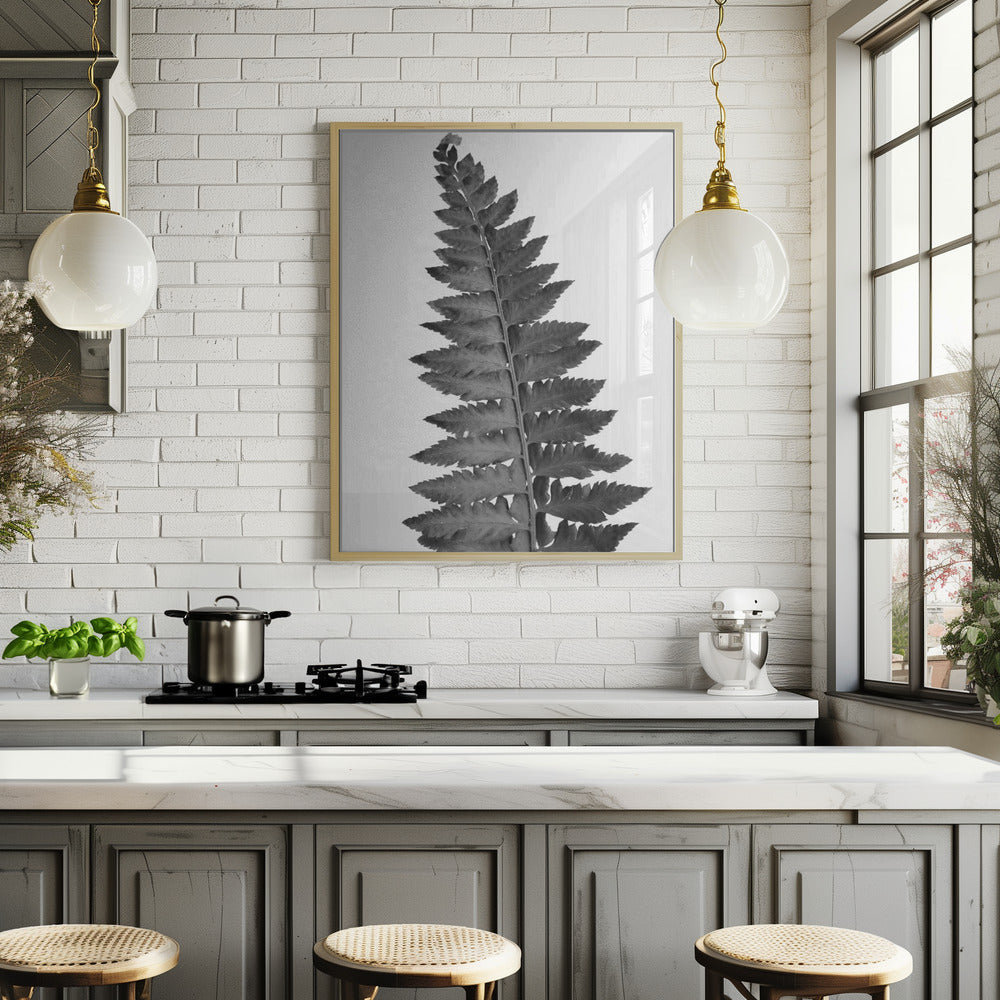 Gray fern leaf Poster