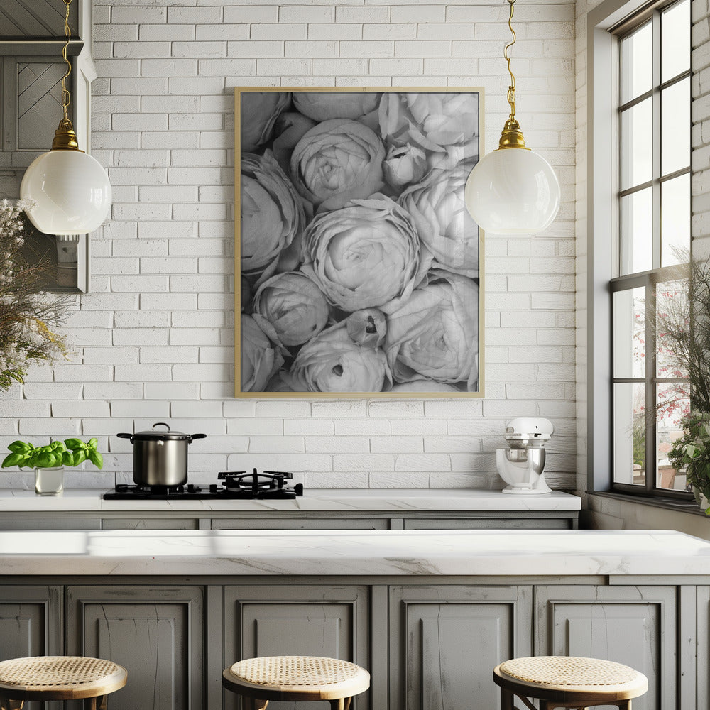 Gray ranunculus Poster