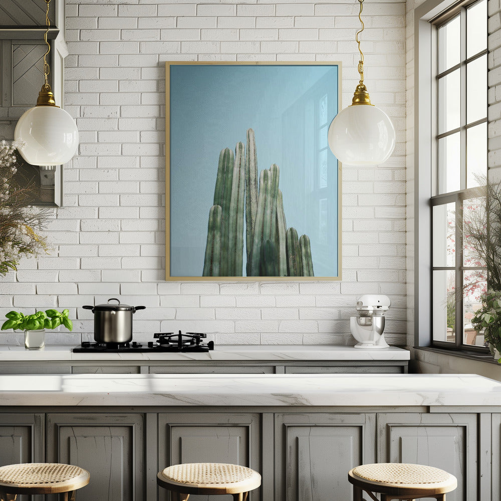 Cacti Poster