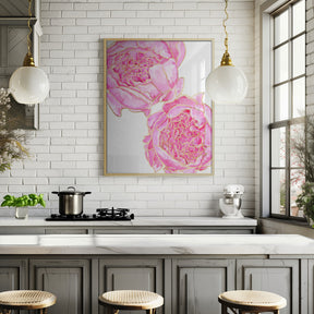 Sally's peonies Poster