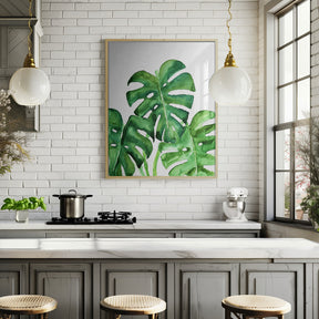 Monstera leaves in loose watercolor Poster