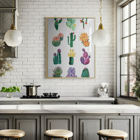 Collection of cacti Poster