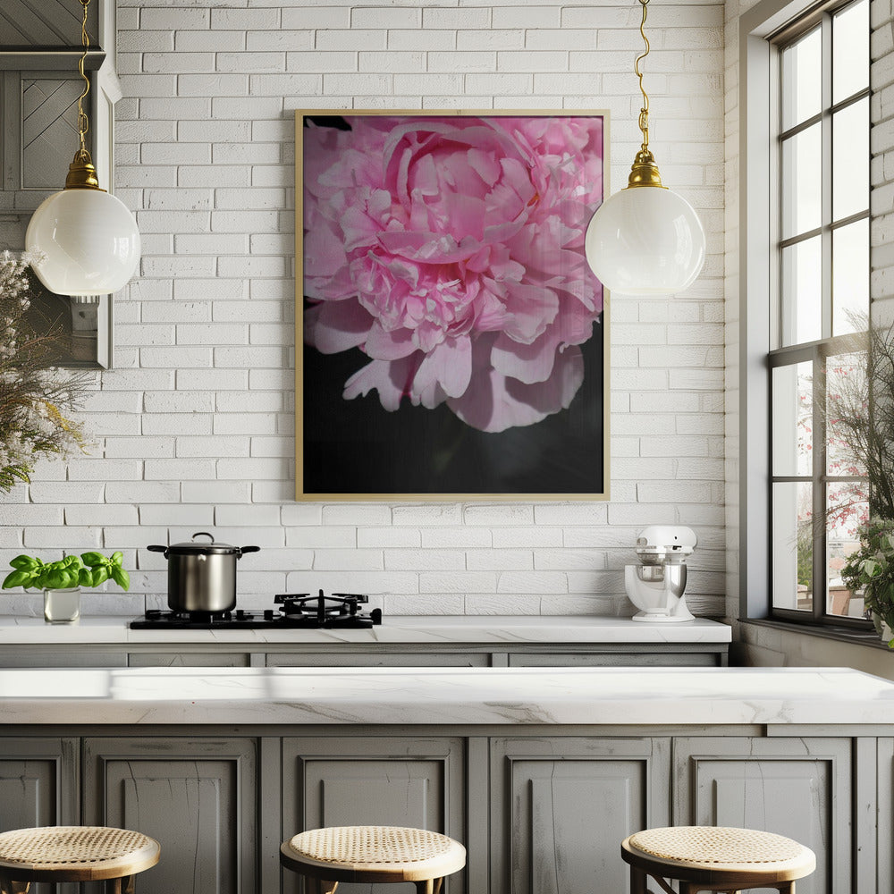 Pink peony V Poster