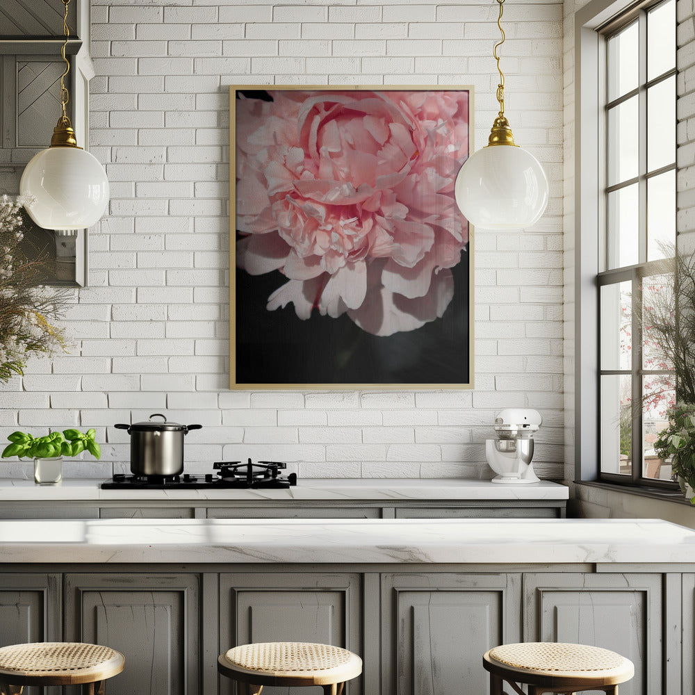 Blush peony V Poster