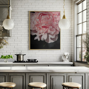 Blush peony V Poster