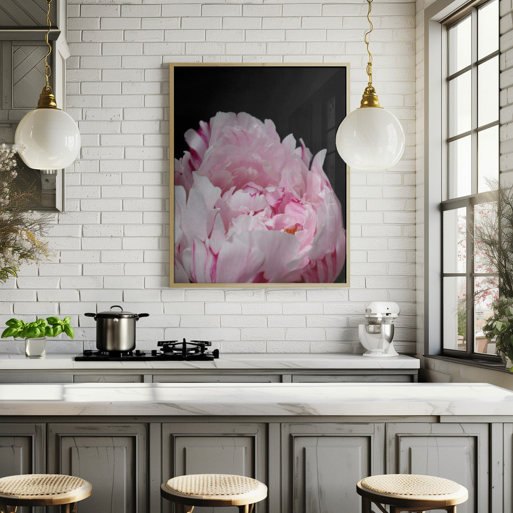 Pink peony VIII Poster