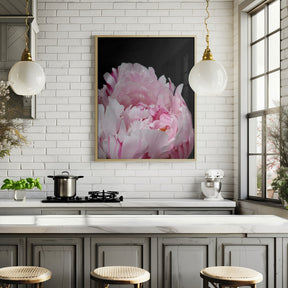 Pink peony VIII Poster