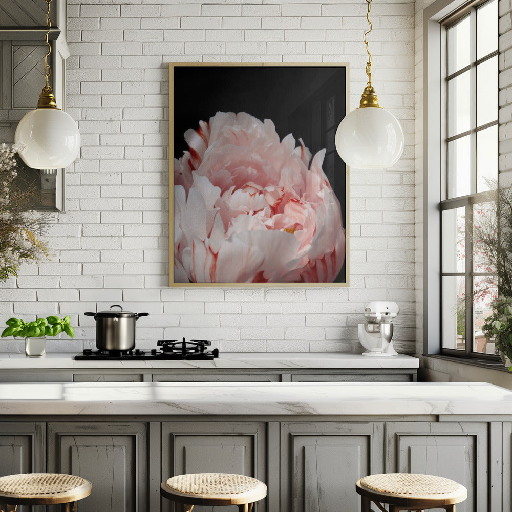 Blush peony VIII Poster