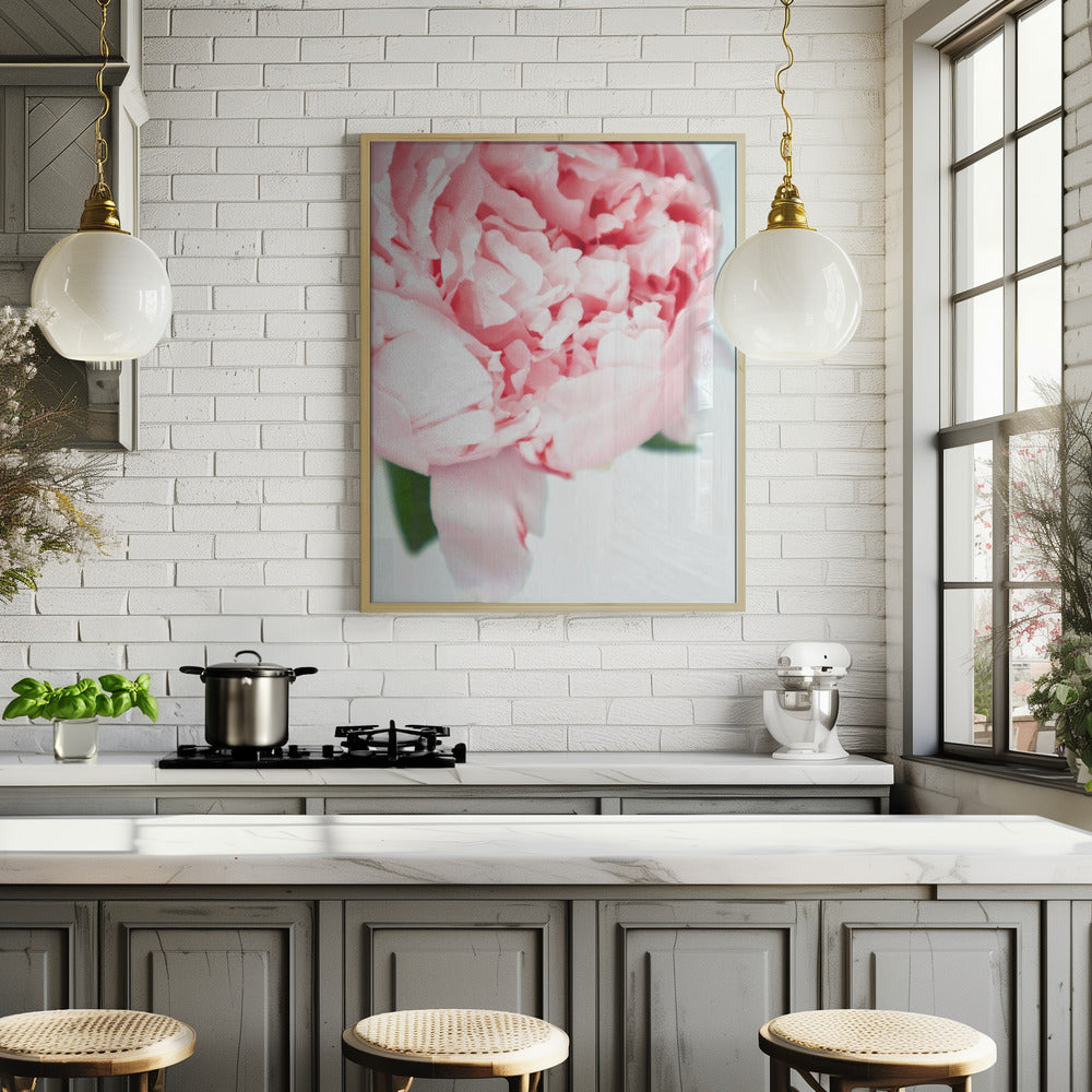 Blush peony VII Poster