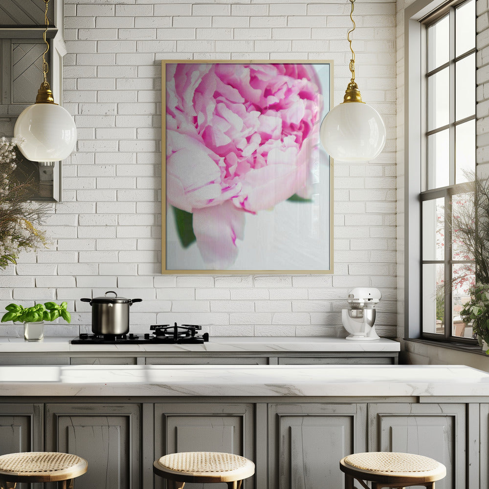 Pink peony VII Poster