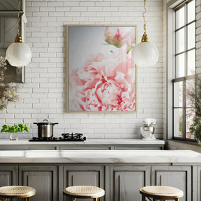 Blush peony IX Poster