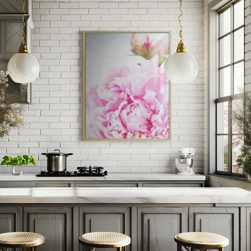 Pink peony IX Poster