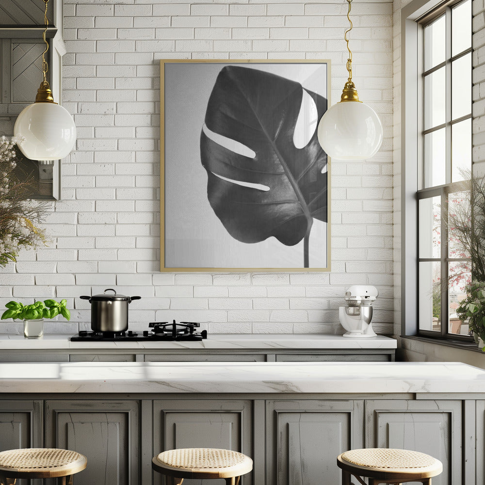 Gray monstera leaf Poster