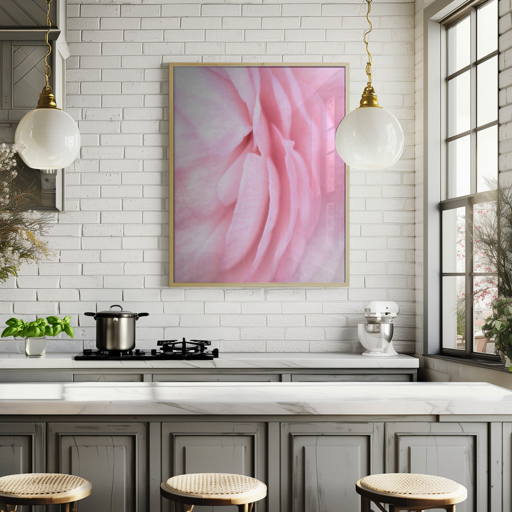 Soft pink petals Poster