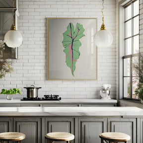 Alocasia Polly Poster