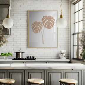 Monstera Plants Poster