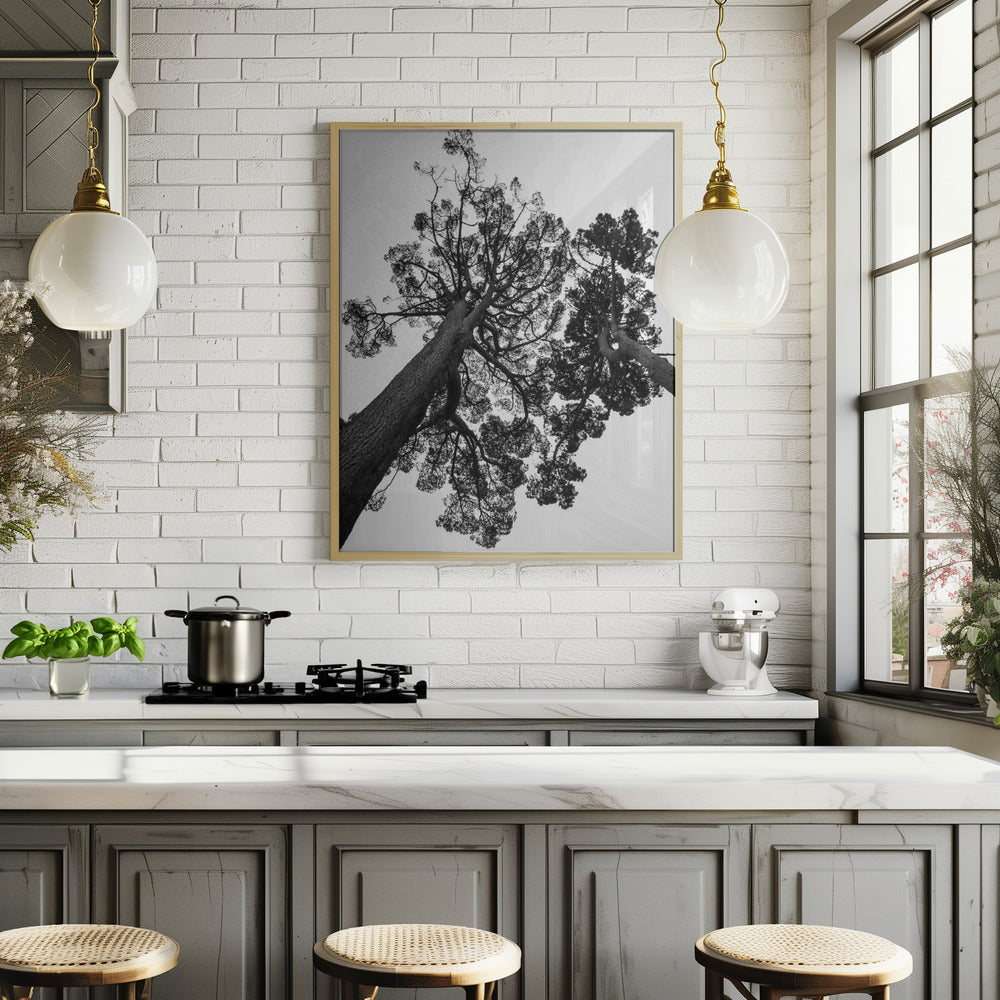 Japanese Garden 02 Poster