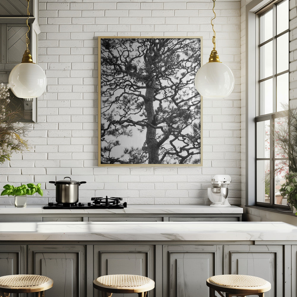 Japanese Garden 03 Poster