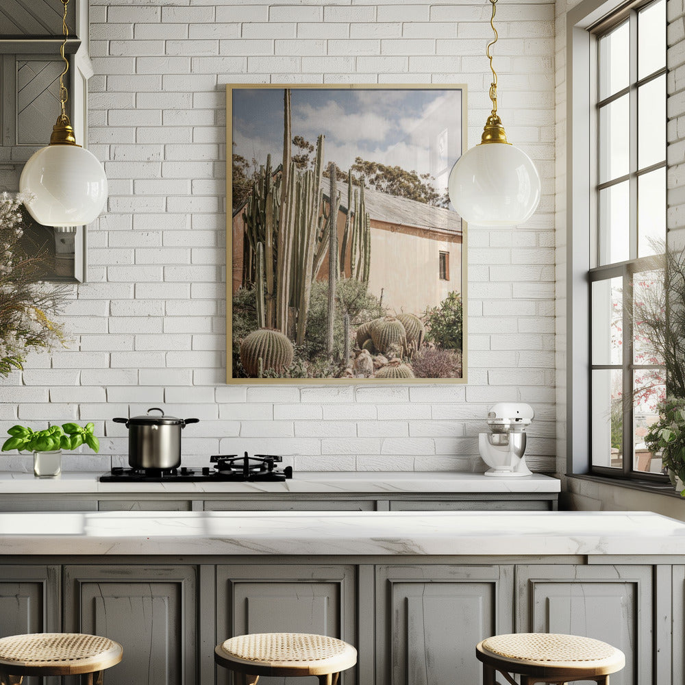 Karoo Garden 02 Poster